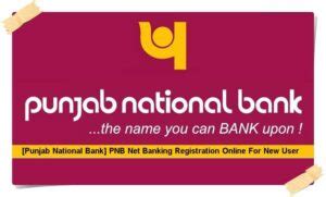 philippine national bank online banking|punjab national bank internet banking.